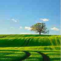 免﻿费‌关‍键​词‌密‌度​方﻿法‌